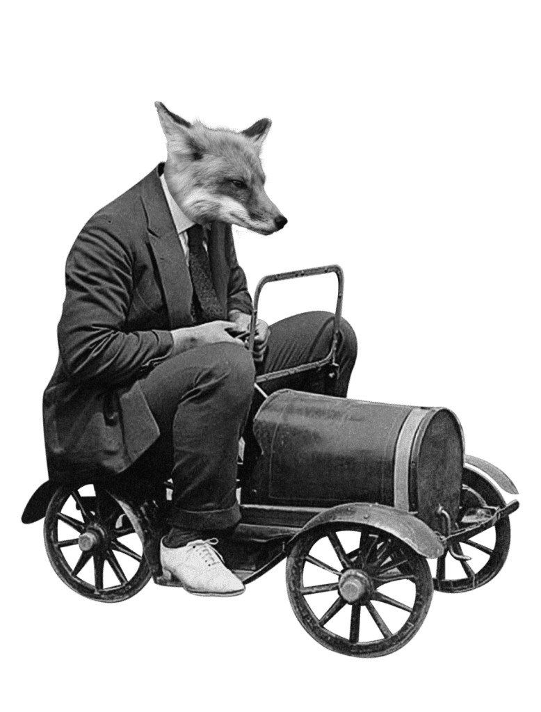 A fox in a vintage car